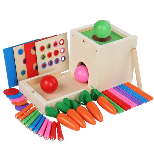 6-in-1 Wooden Montessori Play Kit